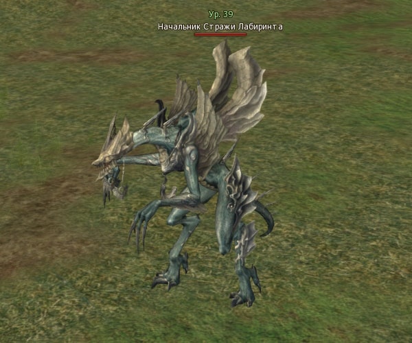 Начальник Стражи Labyrinthа Lost Captain Lv. 39 Lineage 2