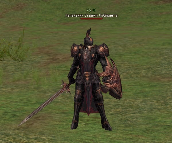 Капитан Labyrinthа Lost Captain Lv. 81 Lineage 2
