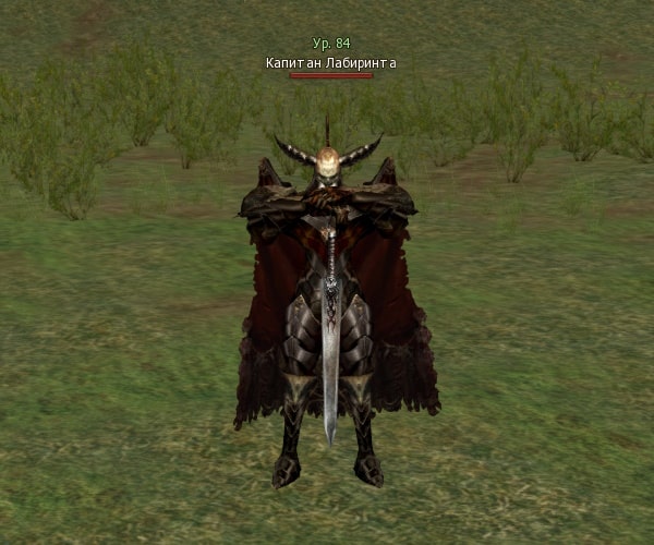 Капитан Labyrinthа Captain Lv. 84 Lineage 2