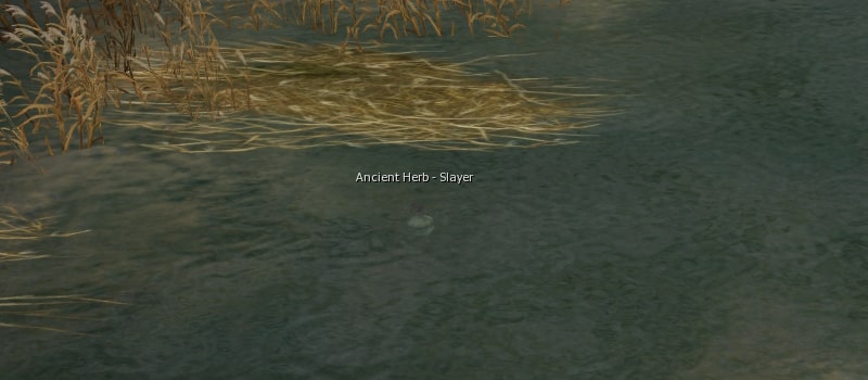 Ancient Herb l2